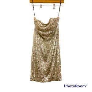 Strapless Sequin Dress